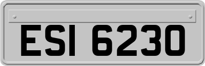 ESI6230