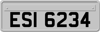 ESI6234