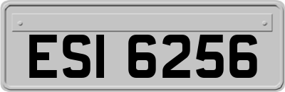 ESI6256
