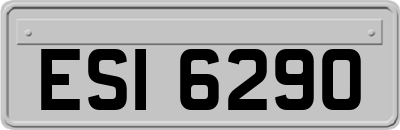 ESI6290