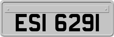 ESI6291