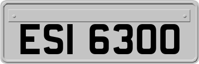 ESI6300