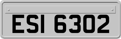 ESI6302