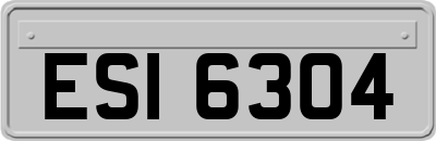 ESI6304