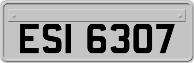 ESI6307