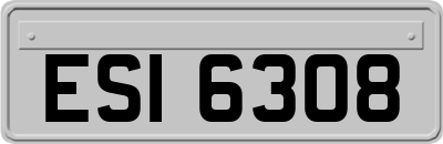 ESI6308