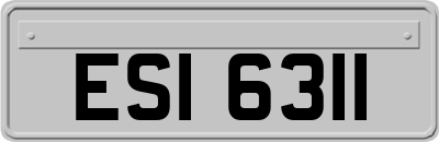 ESI6311