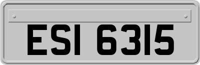 ESI6315