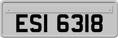 ESI6318