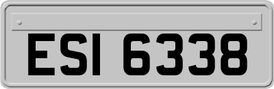 ESI6338