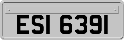 ESI6391