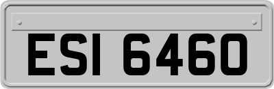 ESI6460
