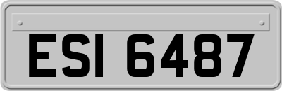 ESI6487