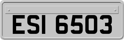 ESI6503
