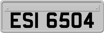 ESI6504