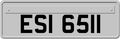 ESI6511