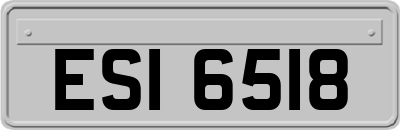 ESI6518