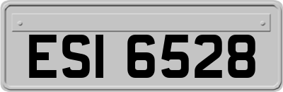 ESI6528
