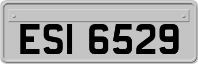 ESI6529