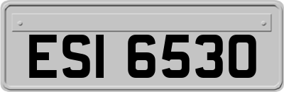 ESI6530