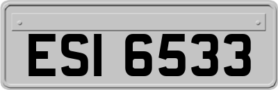 ESI6533