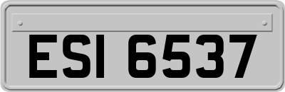 ESI6537
