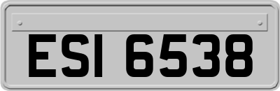 ESI6538