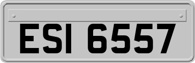 ESI6557