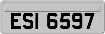 ESI6597