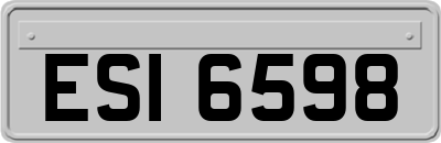 ESI6598
