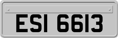ESI6613