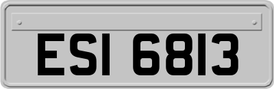 ESI6813