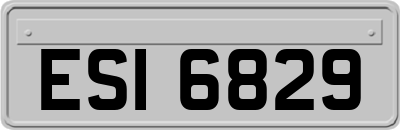 ESI6829