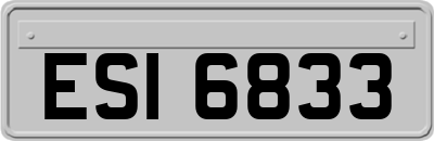 ESI6833