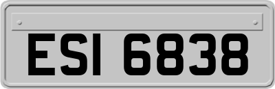 ESI6838