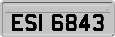 ESI6843