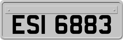 ESI6883