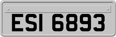 ESI6893