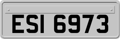 ESI6973