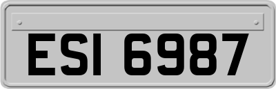 ESI6987