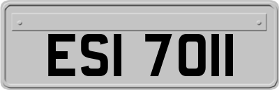 ESI7011