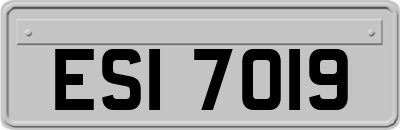 ESI7019