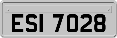 ESI7028
