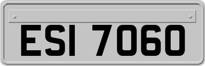 ESI7060