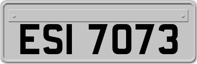 ESI7073