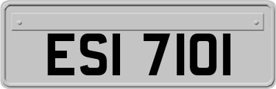 ESI7101