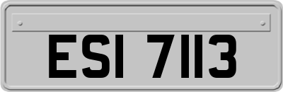 ESI7113