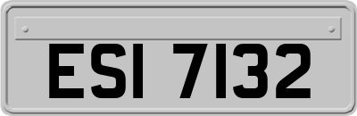 ESI7132
