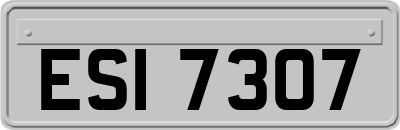 ESI7307