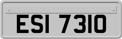 ESI7310